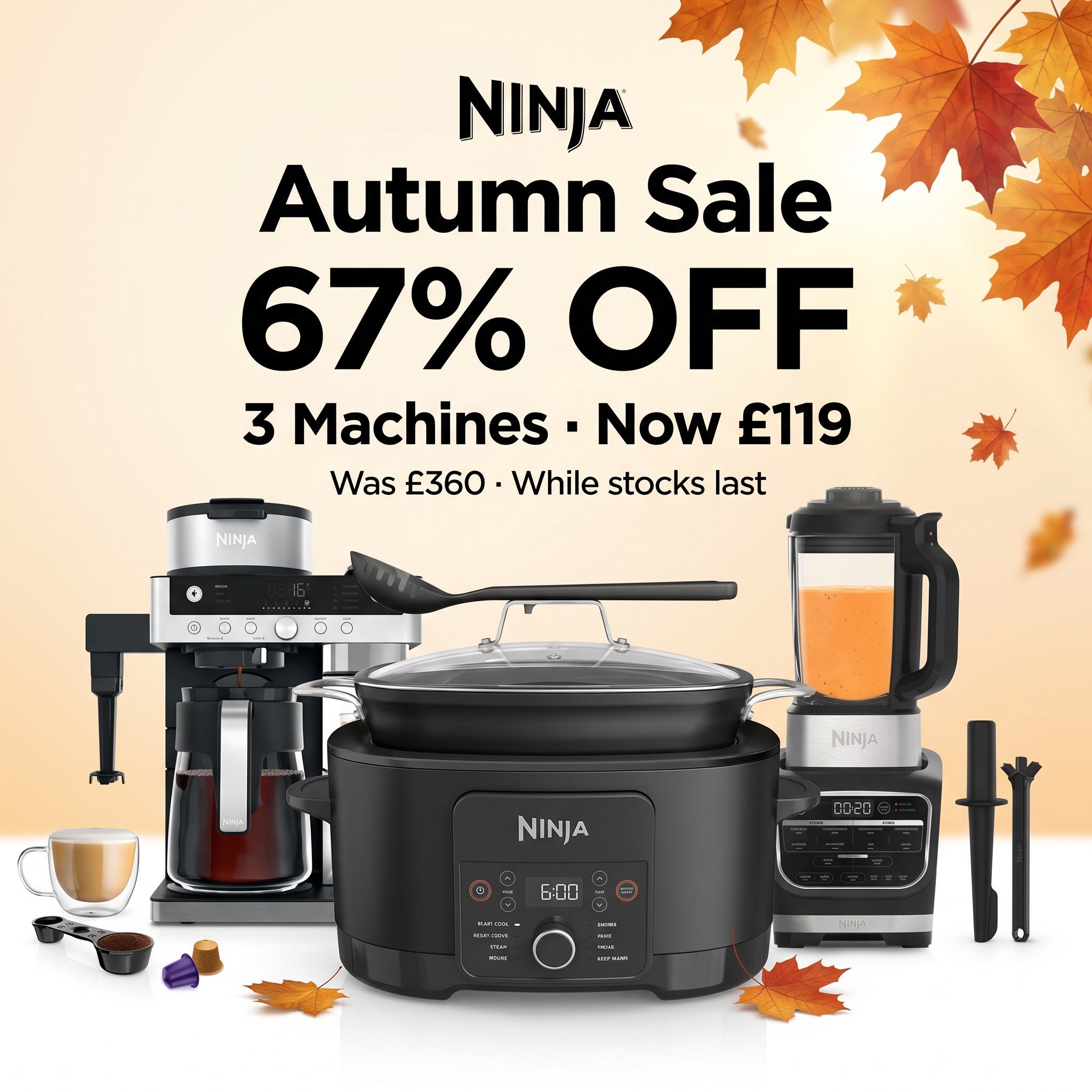 Ninja Autumn Sale — image 1
